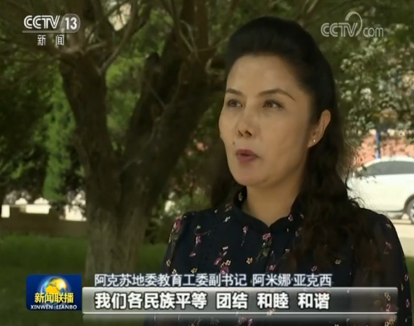 美国|美国干涉中国内政 严重践踏国际法