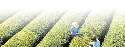 『法治』织密法治网助力“两手抓”