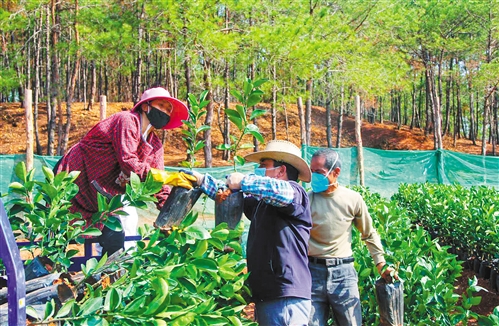 贫困户■拔掉穷根,不落一人——来自广东韶关的乡村调查