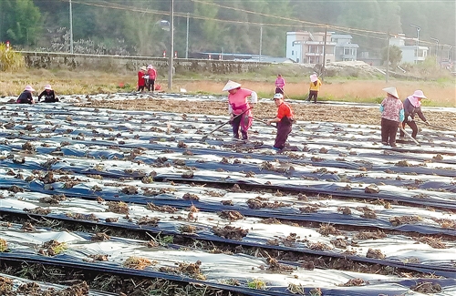 贫困户■拔掉穷根,不落一人——来自广东韶关的乡村调查