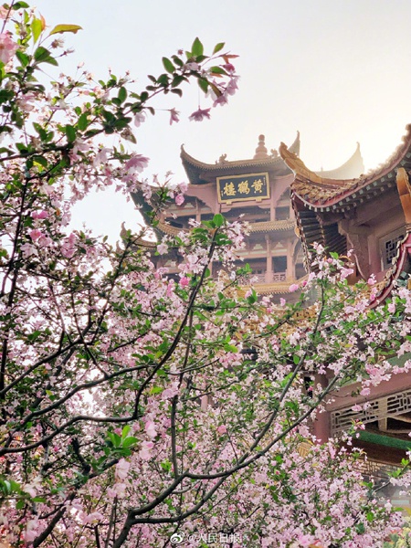 武汉长江大桥▲武汉，我们准备好拥抱你了！