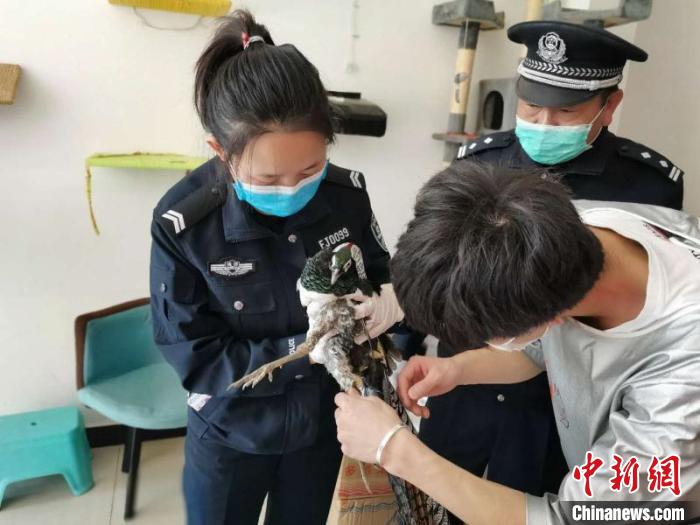 疫情防控■疫情防控期间 云南侦办野生动物案件2909起