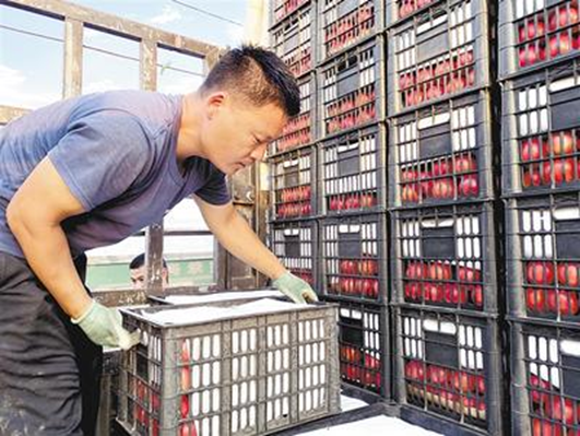 京津冀|[网连中国]京津冀携手战“疫” 织密百姓“防护网”