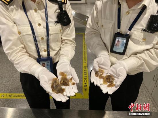 野生动物|两部门就《国家重点保护野生动物名录》公开征求意见