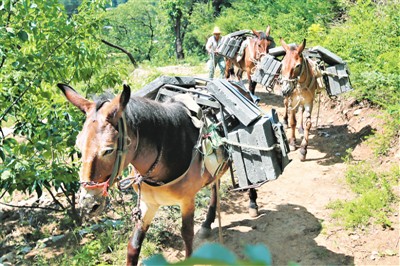 程永茂|64岁老人守护长城 16年修缮2万米