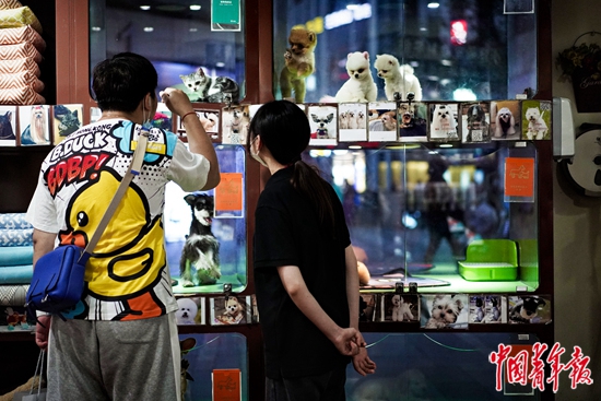 治愈|萌宠经济：年轻人花钱求“治愈”？
