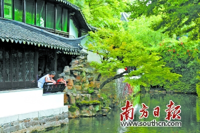 搜索量|跨省团队游恢复 搜索量激增