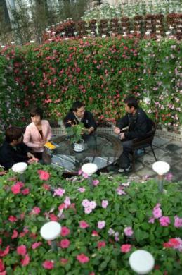 Visitors&nbsp;chat&nbsp;as&nbsp;they&nbsp;take&nbsp;a&nbsp;break&nbsp;in&nbsp;a&nbsp;courtyard&nbsp;enclaved&nbsp;with&nbsp;blooming&nbsp;flowers&nbsp;at&nbsp;Yangling&nbsp;Agricultural&nbsp;Hi-tech&nbsp;Fair&nbsp;in&nbsp;northwest&nbsp;China's&nbsp;Shaanxi&nbsp;Province&nbsp;Nov.&nbsp;3,&nbsp;2009.&nbsp;(Xinhua/Ding&nbsp;Haitao)&nbsp;