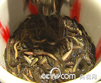 [致富经]一个打工仔的两个一千万(2010.3.11)