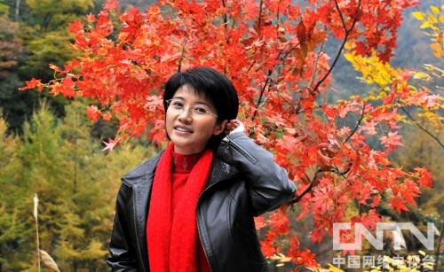 《远山的红叶》《任长霞》 细数以英雄为背景