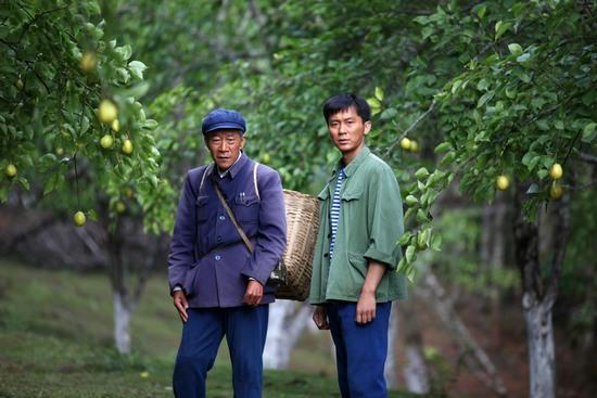 《杨善洲》电影简介及信息