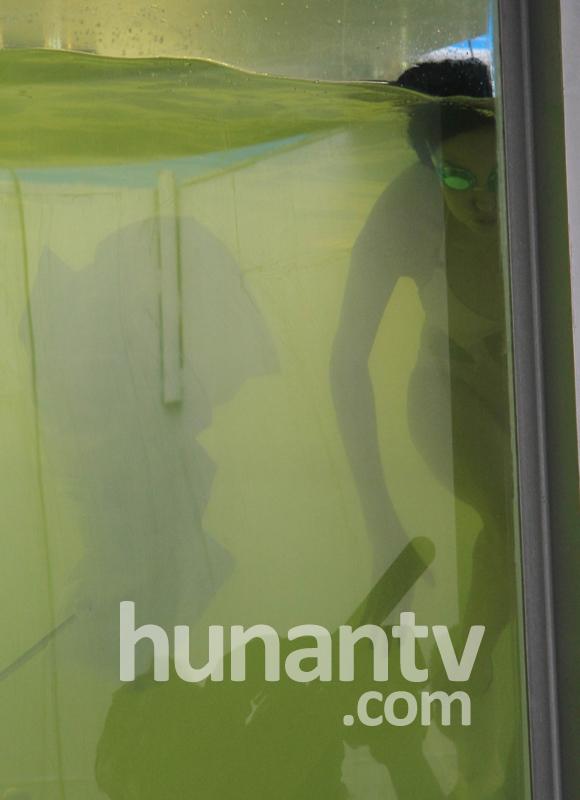 狼狈不堪险走光(组图)