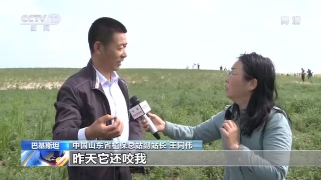 中国工作组考察巴基斯坦蝗灾区：情况比预想还严重