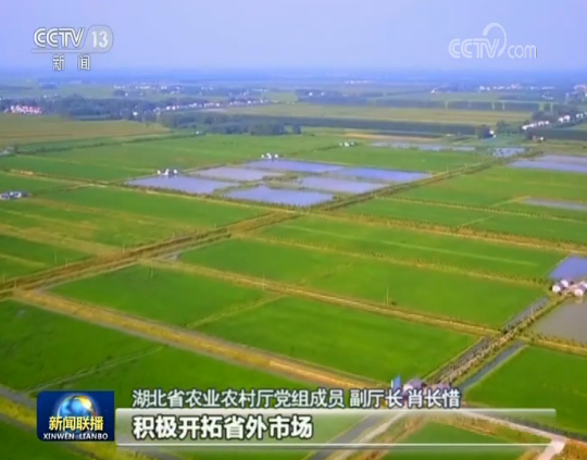 ■多措并举！湖北农副产品拓宽销售渠道