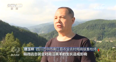 |焦点访谈丨有了一技之长，贫困户的生活变化有多大？