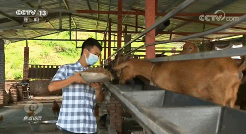 |焦点访谈丨有了一技之长，贫困户的生活变化有多大？