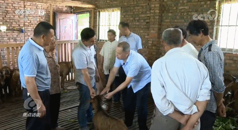 |焦点访谈丨有了一技之长，贫困户的生活变化有多大？