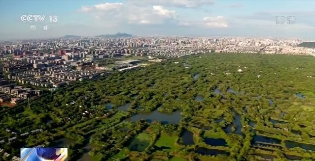 央视新闻|我国出台山水林田湖草生态保护修复指南