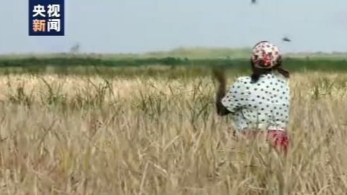 |联合国副秘书长：中国在维和、脱贫、合作等方面作出重大贡献