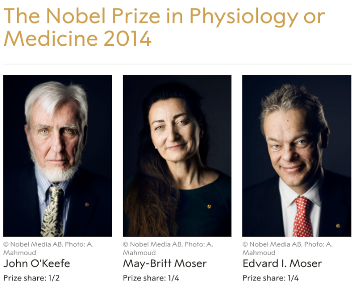 梅-布莉特·莫索尔|“路痴”是怎样形成的？诺奖得主揭秘大脑“GPS”定位机制