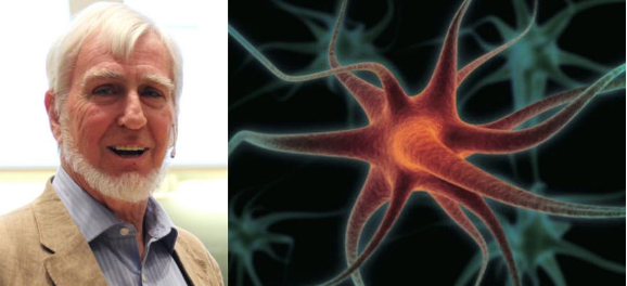 梅-布莉特·莫索尔|“路痴”是怎样形成的？诺奖得主揭秘大脑“GPS”定位机制