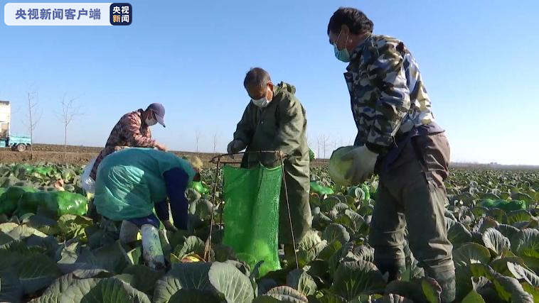 同舟共“冀” 湖北咸宁2000万元物资驰援河北