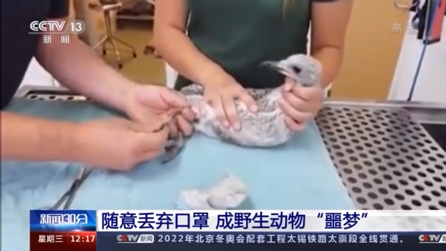 注意!用过的口罩不要随意丢弃怎样处理最合适?(图1)