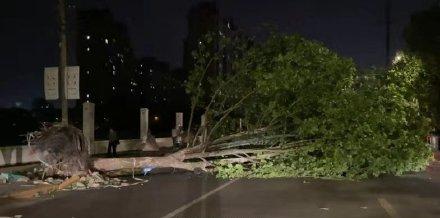 江苏南通昨晚遭遇极端灾害天气 造成11人死亡 江苏南通昨晚遭遇极端灾害天气 造成11人死亡
