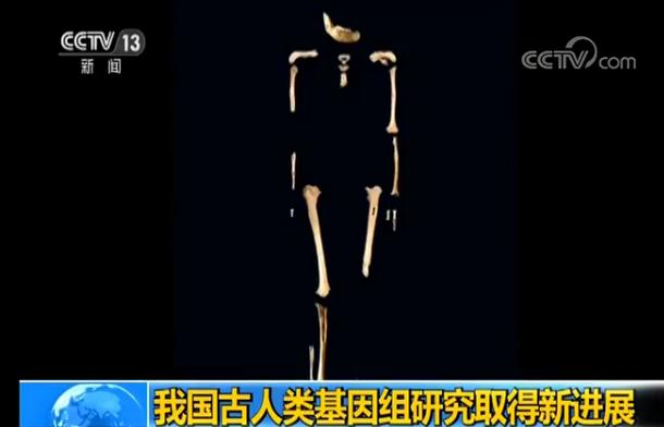四万年前北京田园洞人dna成功提取测序 为第一个中国古人类基因组 新闻 央视网 cctv com