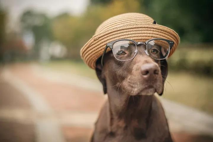 【夜读】永远,永远与爱的反义词为敌!_新闻_央