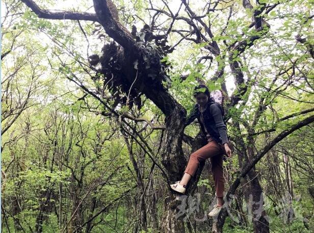 90 后校花学霸扎根乡村 22 家贫困户称她自家