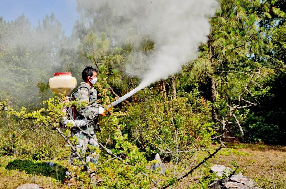 国家林业局:下半年全国主要林业生物灾害将偏