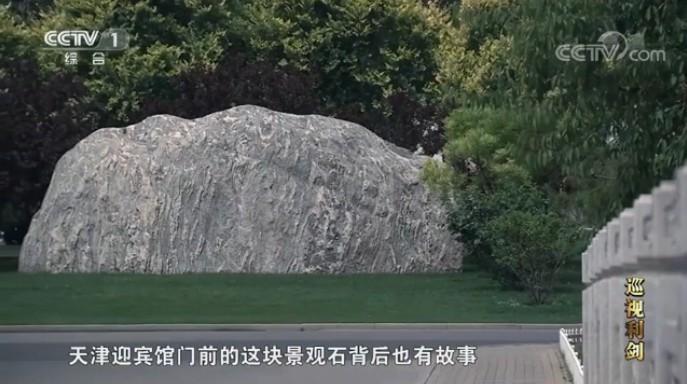 巡视利剑|五假干部卢恩光7子女只上报2名 在