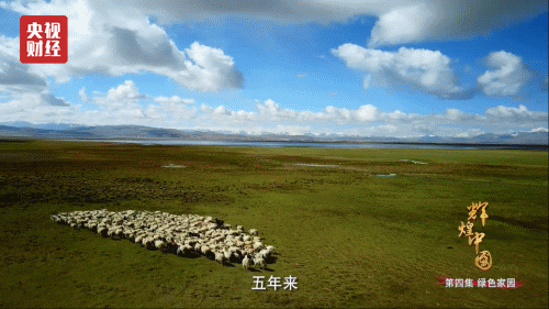 习近平总书记反复强调一句话!让中国颜值有了大变化