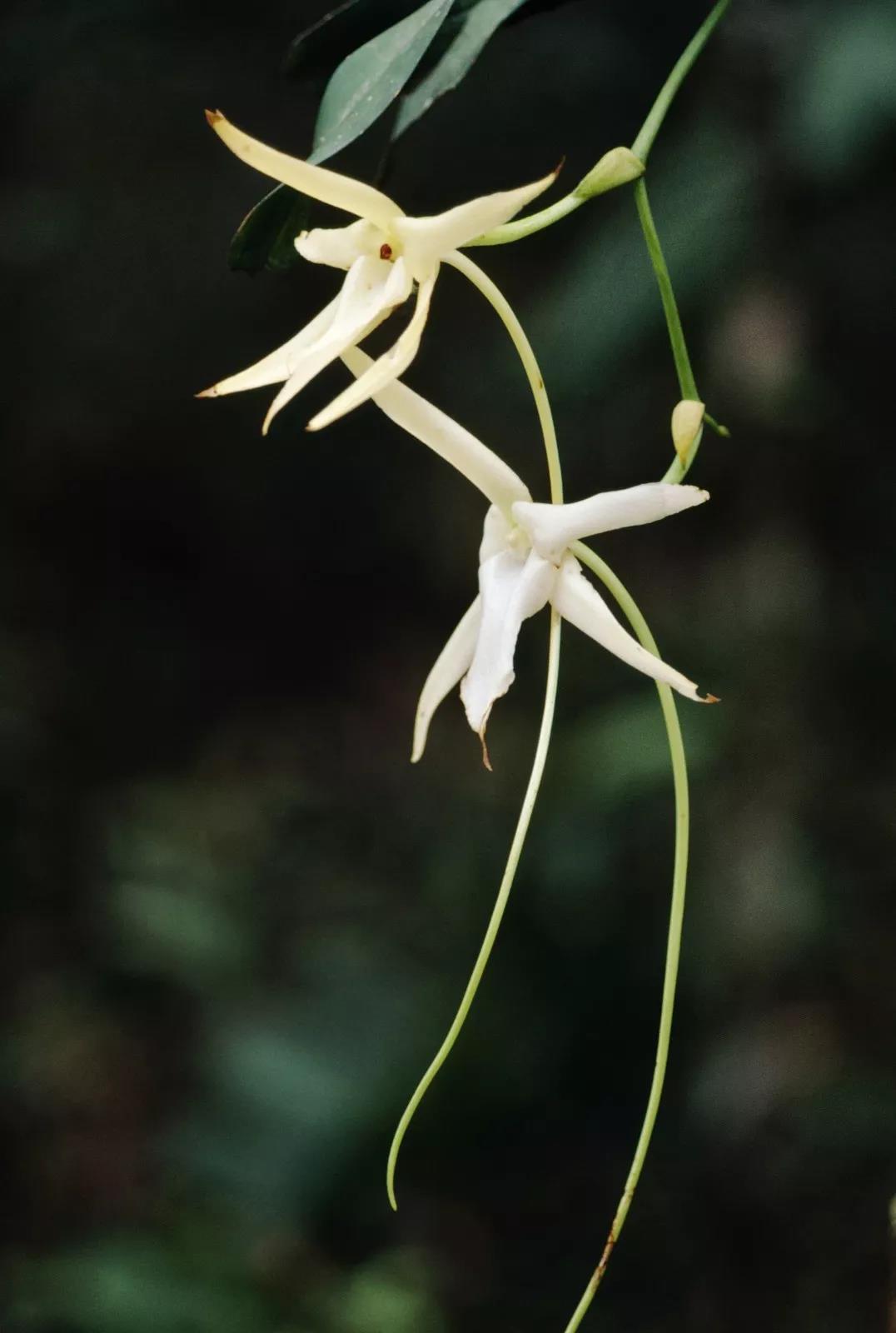 夜读 | 大寒:醉面冲风惊易醒,重裘藏手取微温