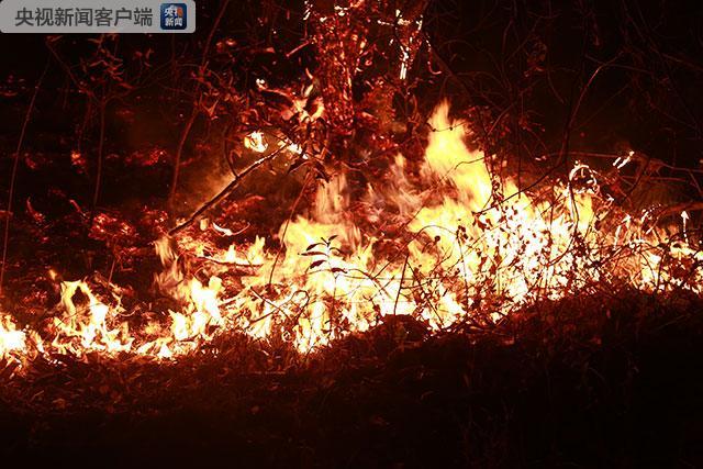 云南昆明长虫山森林火灾:火势基本控制无人员