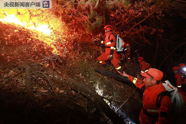 云南昆明长虫山森林火灾:火势基本控制无人员