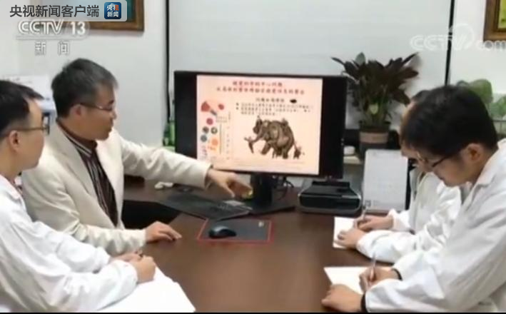 我国科学家揭示“视觉感知”新机制(图1)