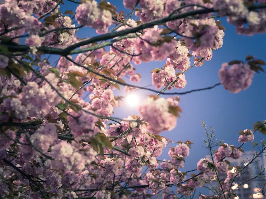 没有你，万般精彩皆枉然