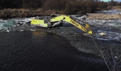 499_294 gif 动态图 动图