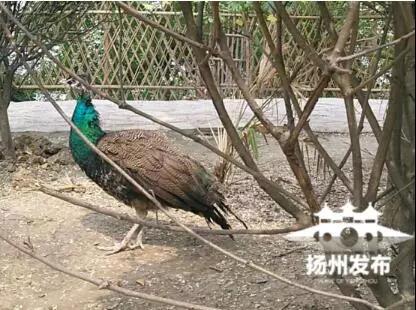 早啊!新闻来了〔2018.05.01〕