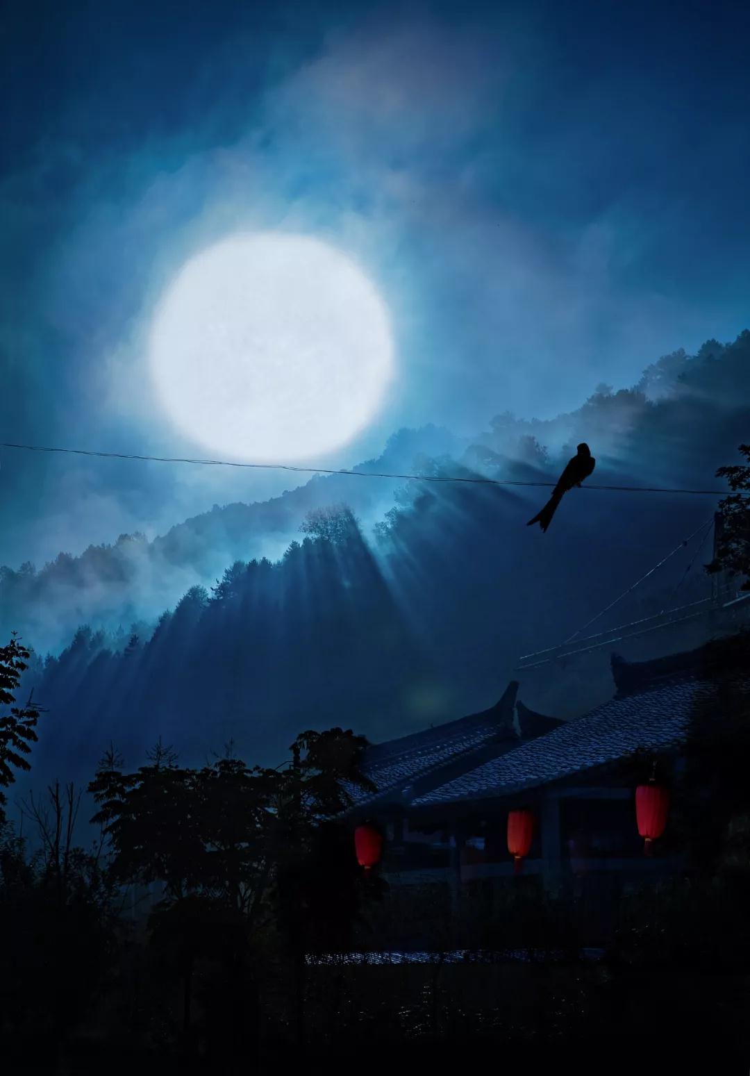 【夜读】能说出来的孤独,不叫孤独