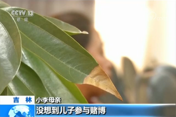 吉林警方打掉一网络赌博团伙:会员对赌 涉案资