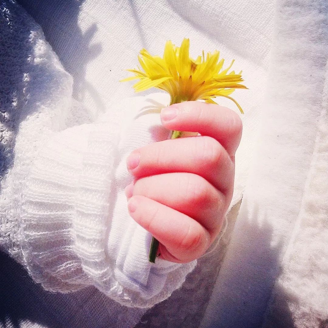 【夜读】一个有教养的家庭,大抵如此