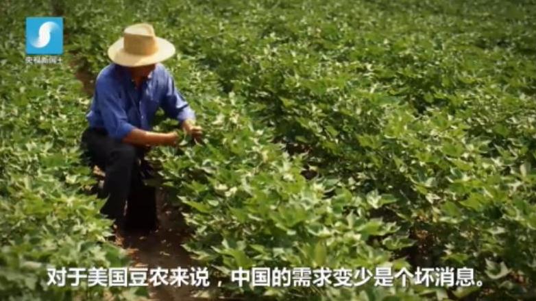 【微视频】中美贸易战两周以来 谁正在成为真