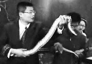 Zou&nbsp;Huazhang&nbsp;is&nbsp;like&nbsp;a&nbsp;"snake&nbsp;charmer"