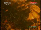 ��������Ȼ�� 20111126 ��Ȼ��ʾ ��Ȼ���֣��У�