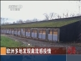 [中国新闻]欧洲多地发现禽流感疫情_CCTV节目官网-CCTV-4_央视网(cctv.com)