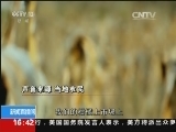 [视频]向土壤污染宣战_CCTV专区_央视网(cctv.com)