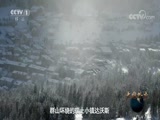 《大国外交》 第三集 中流击水